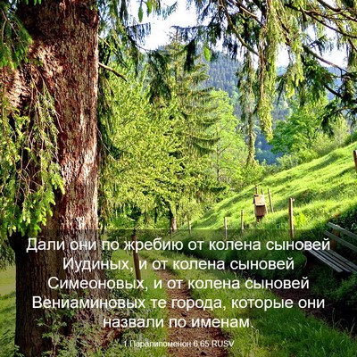 Picture 03 - 1 Паралипоменон 6:65 RUSV - Дали они по жребию от - Bible Verse Picture