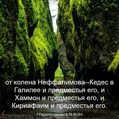 Picture 03 - 1 Паралипоменон 6:76 RUSV - от колена - Bible Verse Picture