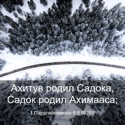 Picture 03 - 1 Паралипоменон 6:8 RUSV - Ахитув родил Садока, Садок - Bible Verse Picture