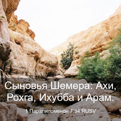 Picture 03 - 1 Паралипоменон 7:34 RUSV - Сыновья Шемера: Ахи, Рохга, - Bible Verse Picture
