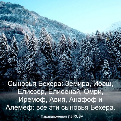 Picture 03 - 1 Паралипоменон 7:8 RUSV - Сыновья Бехера: Земира, - Bible Verse Picture