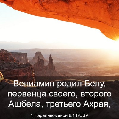 Picture 03 - 1 Паралипоменон 8:1 RUSV - Вениамин родил Белу, - Bible Verse Picture