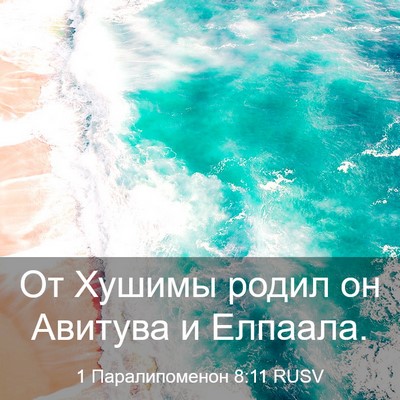 Picture 03 - 1 Паралипоменон 8:11 RUSV - От Хушимы родил он Авитува - Bible Verse Picture
