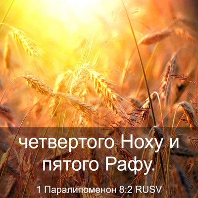 Picture 03 - 1 Паралипоменон 8:2 RUSV - четвертого Ноху и пятого - Bible Verse Picture