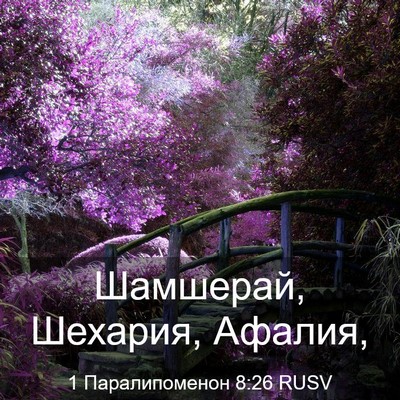 Picture 03 - 1 Паралипоменон 8:26 RUSV - Шамшерай, Шехария, - Bible Verse Picture