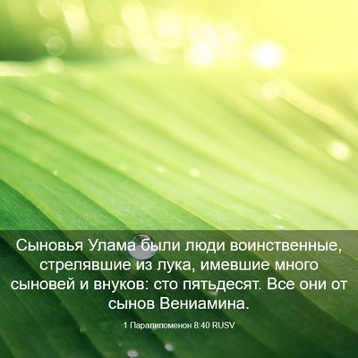 Picture 03 - 1 Паралипоменон 8:40 RUSV - Сыновья Улама были люди - Bible Verse Picture