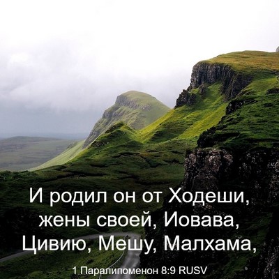 Picture 03 - 1 Паралипоменон 8:9 RUSV - И родил он от Ходеши, жены - Bible Verse Picture