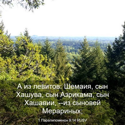 Picture 03 - 1 Паралипоменон 9:14 RUSV - А из левитов: Шемаия, сын - Bible Verse Picture