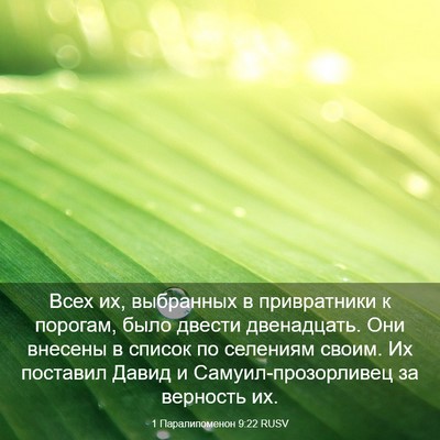 Picture 03 - 1 Паралипоменон 9:22 RUSV - Всех их, выбранных в - Bible Verse Picture