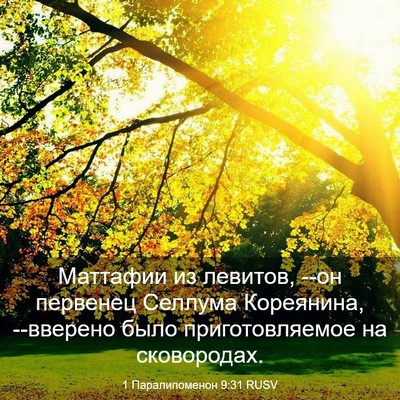 Picture 03 - 1 Паралипоменон 9:31 RUSV - Маттафии из левитов, --он - Bible Verse Picture