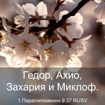 Picture 03 - 1 Паралипоменон 9:37 RUSV - Гедор, Ахио, Захария и - Bible Verse Picture