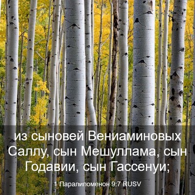 Picture 03 - 1 Паралипоменон 9:7 RUSV - из сыновей Вениаминовых - Bible Verse Picture