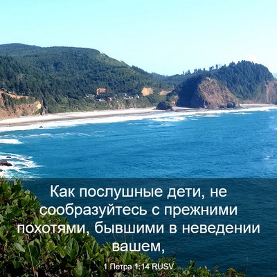 Picture 03 - 1 Петра 1:14 RUSV - Как послушные дети, не - Bible Verse Picture