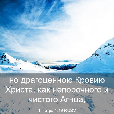 Picture 03 - 1 Петра 1:19 RUSV - но драгоценною Кровию - Bible Verse Picture