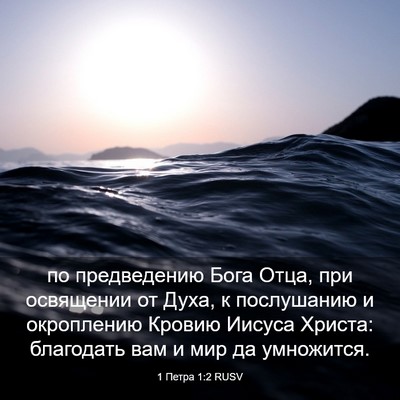Picture 03 - 1 Петра 1:2 RUSV - по предведению Бога Отца, - Bible Verse Picture