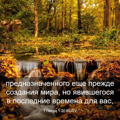 Picture 03 - 1 Петра 1:20 RUSV - предназначенного еще - Bible Verse Picture