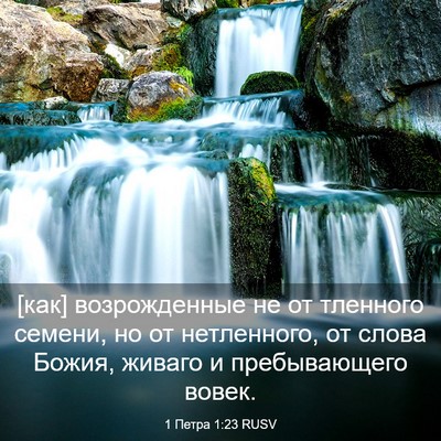 Picture 03 - 1 Петра 1:23 RUSV - [как] возрожденные не от - Bible Verse Picture