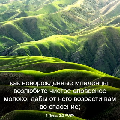Picture 03 - 1 Петра 2:2 RUSV - как новорожденные - Bible Verse Picture