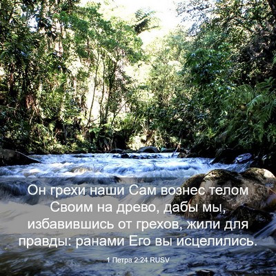 Picture 03 - 1 Петра 2:24 RUSV - Он грехи наши Сам вознес - Bible Verse Picture