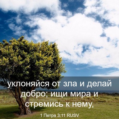 Picture 03 - 1 Петра 3:11 RUSV - уклоняйся от зла и делай - Bible Verse Picture
