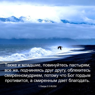 Picture 03 - 1 Петра 5:5 RUSV - Также и младшие, - Bible Verse Picture
