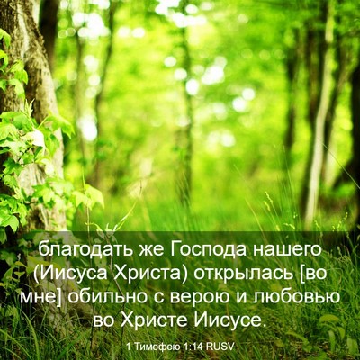Picture 03 - 1 Тимофею 1:14 RUSV - благодать же Господа - Bible Verse Picture