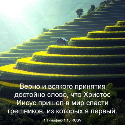 Picture 03 - 1 Тимофею 1:15 RUSV - Верно и всякого принятия - Bible Verse Picture