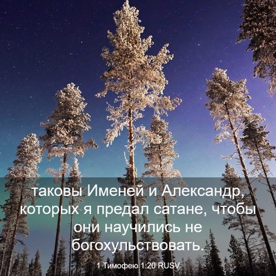 Picture 03 - 1 Тимофею 1:20 RUSV - таковы Именей и Александр, - Bible Verse Picture