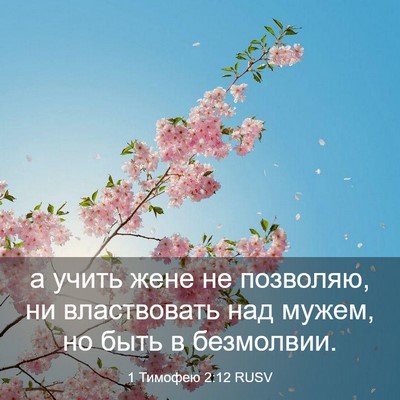 Picture 03 - 1 Тимофею 2:12 RUSV - а учить жене не позволяю, - Bible Verse Picture