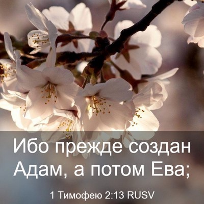 Picture 03 - 1 Тимофею 2:13 RUSV - Ибо прежде создан Адам, а - Bible Verse Picture