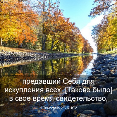 Picture 03 - 1 Тимофею 2:6 RUSV - предавший Себя для - Bible Verse Picture