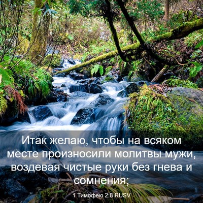 Picture 03 - 1 Тимофею 2:8 RUSV - Итак желаю, чтобы на всяком - Bible Verse Picture