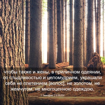 Picture 03 - 1 Тимофею 2:9 RUSV - чтобы также и жены, в - Bible Verse Picture