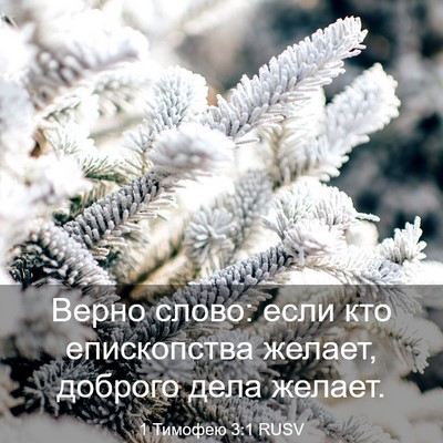 Picture 03 - 1 Тимофею 3:1 RUSV - Верно слово: если кто - Bible Verse Picture