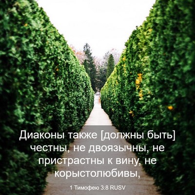 Picture 03 - 1 Тимофею 3:8 RUSV - Диаконы также [должны быть] - Bible Verse Picture