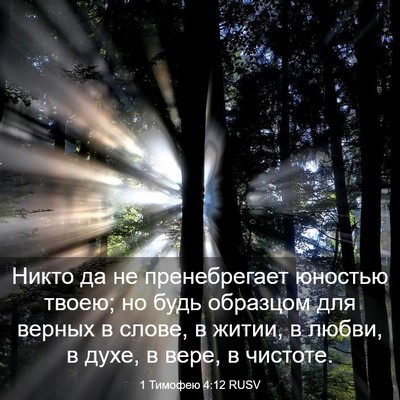 Picture 03 - 1 Тимофею 4:12 RUSV - Никто да не пренебрегает - Bible Verse Picture