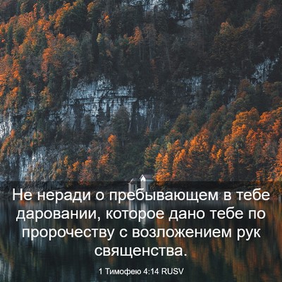 Picture 03 - 1 Тимофею 4:14 RUSV - Не неради о пребывающем в - Bible Verse Picture