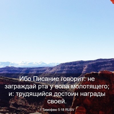 Picture 03 - 1 Тимофею 5:18 RUSV - Ибо Писание говорит: не - Bible Verse Picture