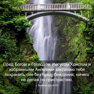 Picture 03 - 1 Тимофею 5:21 RUSV - Пред Богом и Господом - Bible Verse Picture