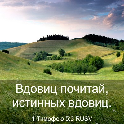Picture 03 - 1 Тимофею 5:3 RUSV - Вдовиц почитай, истинных - Bible Verse Picture