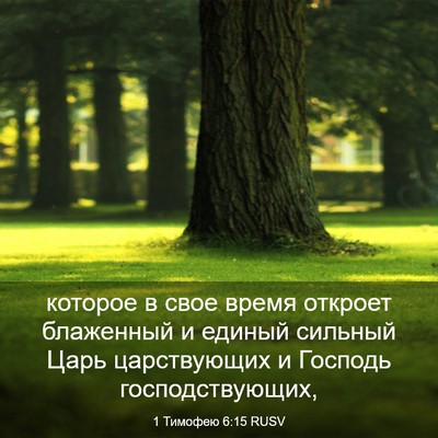 Picture 03 - 1 Тимофею 6:15 RUSV - которое в свое время - Bible Verse Picture