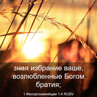 Picture 03 - 1 Фессалоникийцам 1:4 RUSV - зная избрание ваше, - Bible Verse Picture
