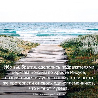 Picture 03 - 1 Фессалоникийцам 2:14 RUSV - Ибо вы, братия, сделались - Bible Verse Picture