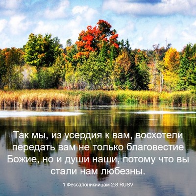 Picture 03 - 1 Фессалоникийцам 2:8 RUSV - Так мы, из усердия к вам, - Bible Verse Picture