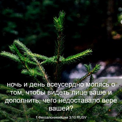 Picture 03 - 1 Фессалоникийцам 3:10 RUSV - ночь и день всеусердно - Bible Verse Picture