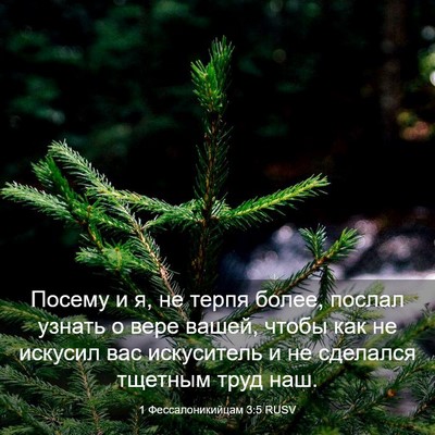 Picture 03 - 1 Фессалоникийцам 3:5 RUSV - Посему и я, не терпя более, - Bible Verse Picture