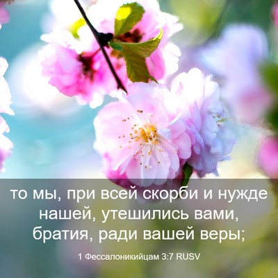 Picture 03 - 1 Фессалоникийцам 3:7 RUSV - то мы, при всей скорби и - Bible Verse Picture
