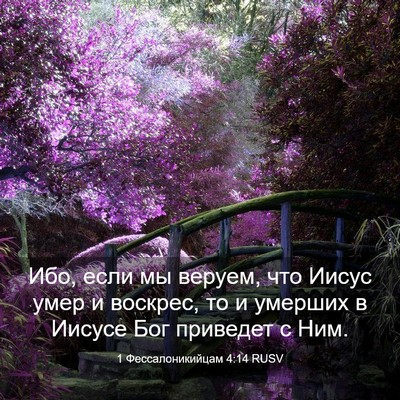 Picture 03 - 1 Фессалоникийцам 4:14 RUSV - Ибо, если мы веруем, что - Bible Verse Picture