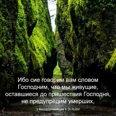 Picture 03 - 1 Фессалоникийцам 4:15 RUSV - Ибо сие говорим вам словом - Bible Verse Picture
