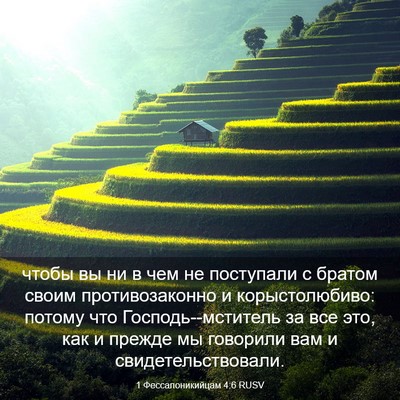 Picture 03 - 1 Фессалоникийцам 4:6 RUSV - чтобы вы ни в чем не - Bible Verse Picture